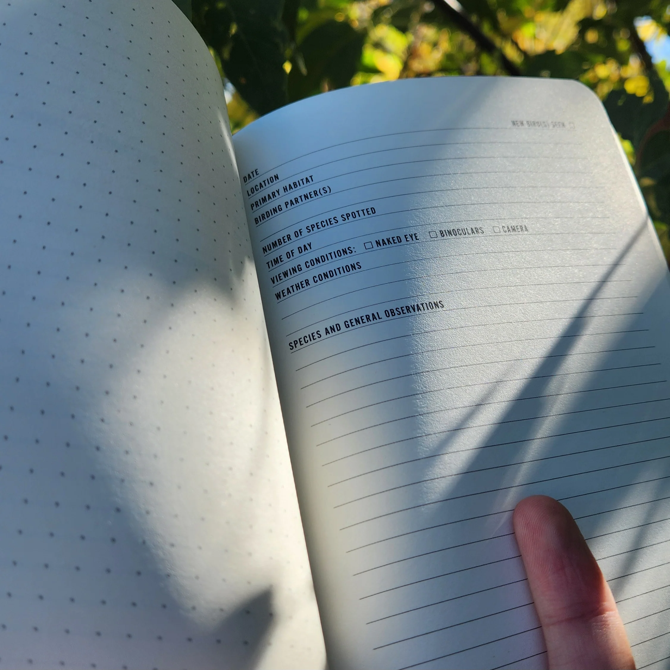 Birding Notes - Image 2