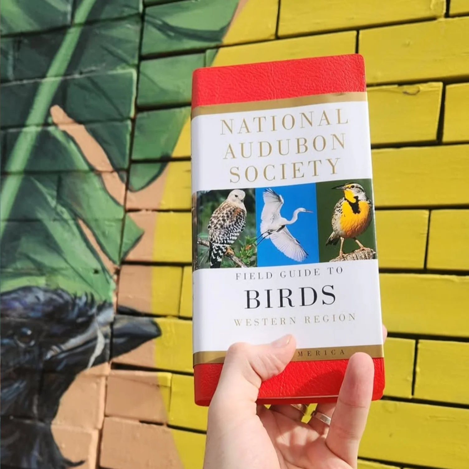 National Audubon Society Field Guide to North American Birds - Western Region Revised Edition