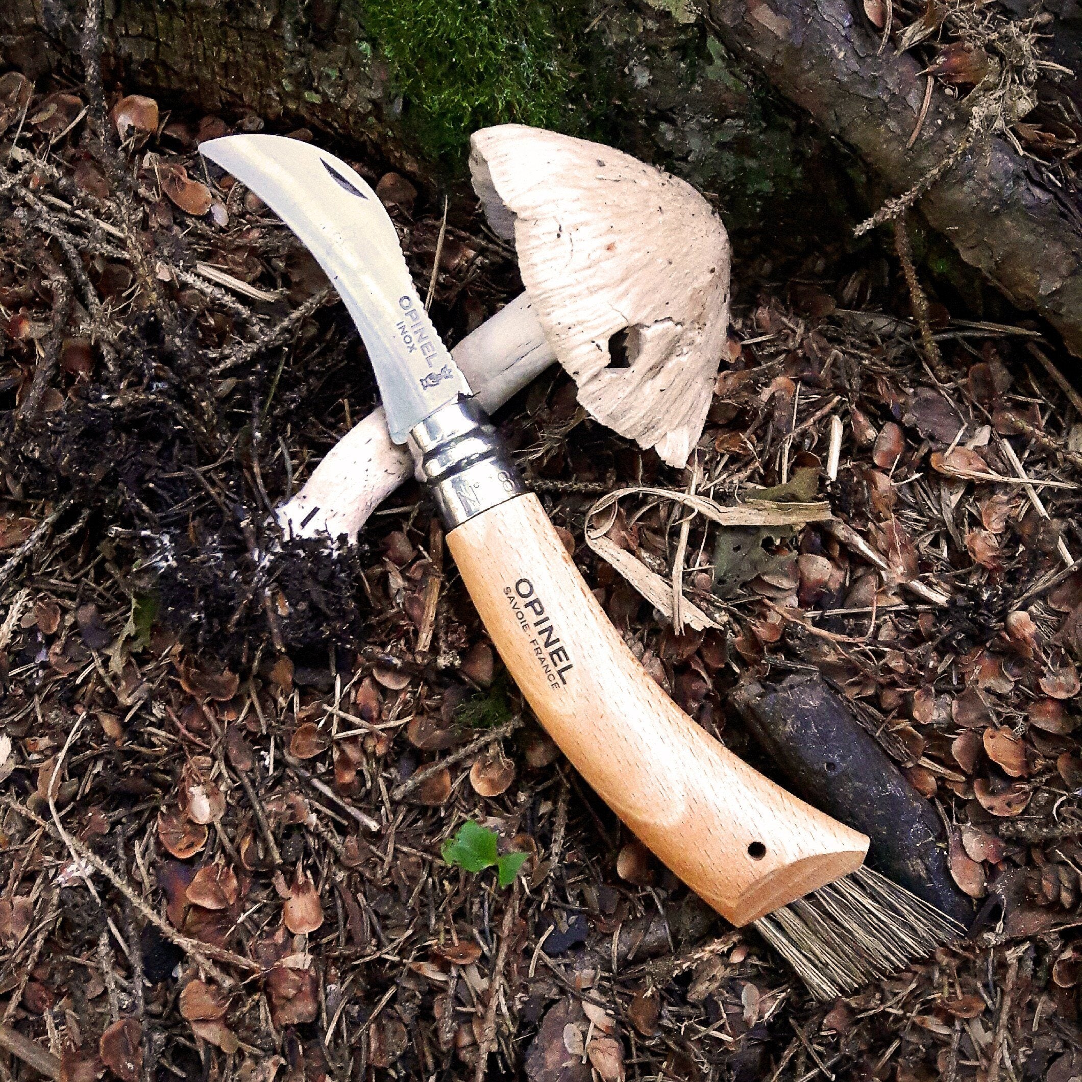Opinel Inox No.08 Folding Mushroom Hunter’s Knife with Brush - Image 3