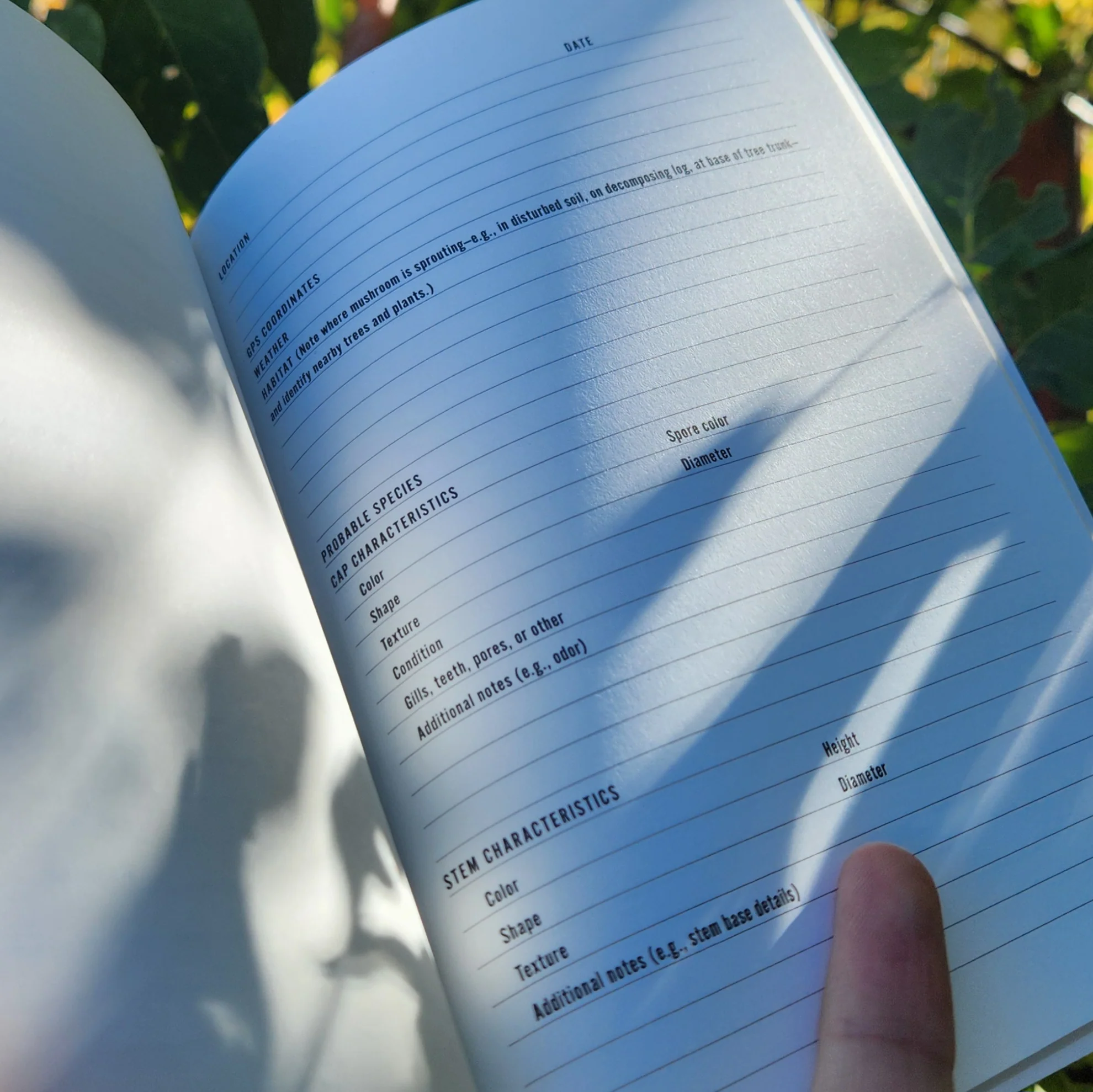 Mushroom Logbook - Image 2