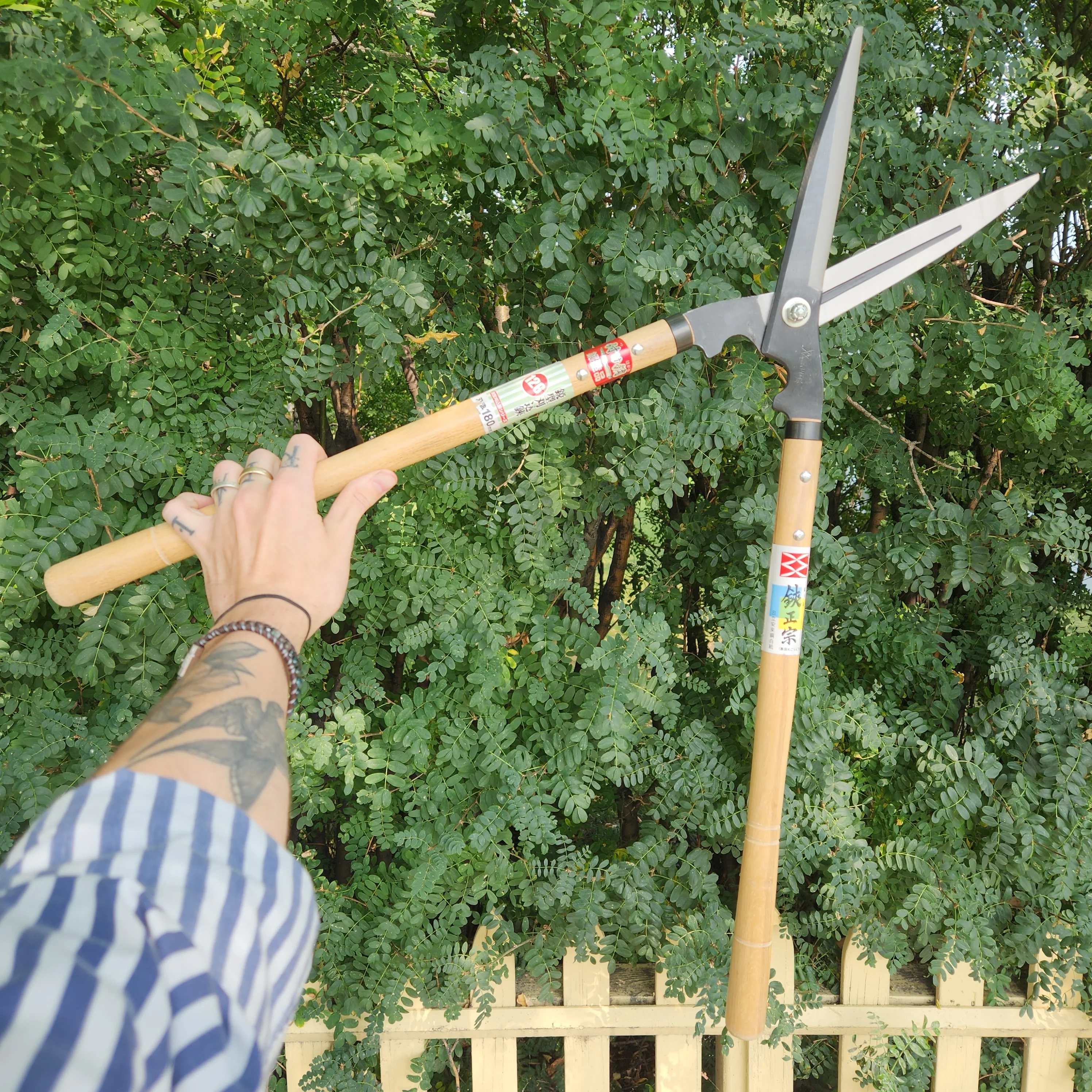 Yoshioka Shirogami Hedge Shears - Image 2